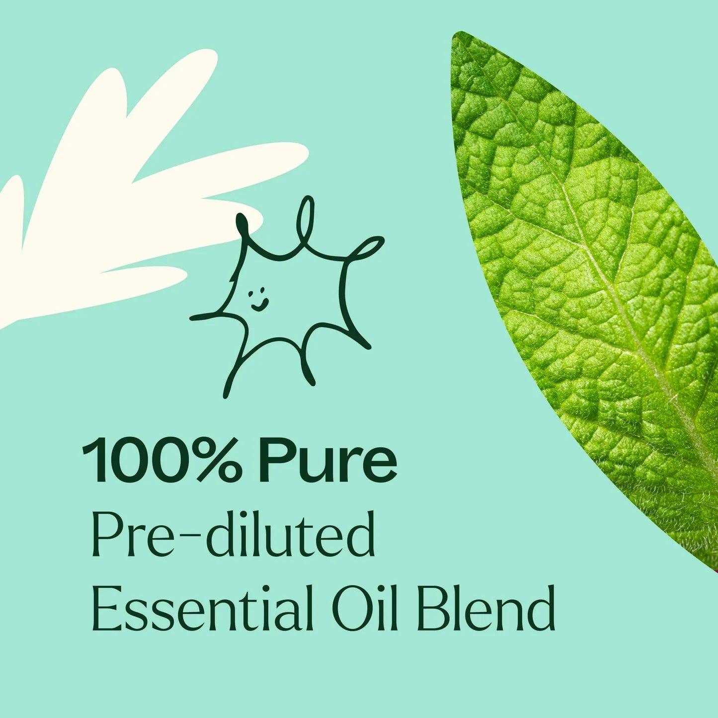 Brain Aid Essential Oil Pre-Dilluted Roll-On 10ml