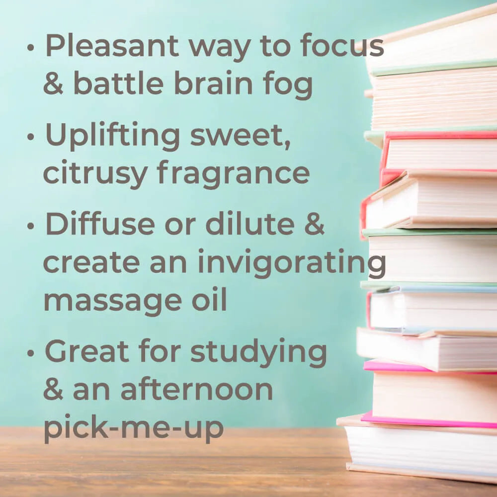 Brain Aid Essential Oil Pre-Dilluted Roll-On 10ml