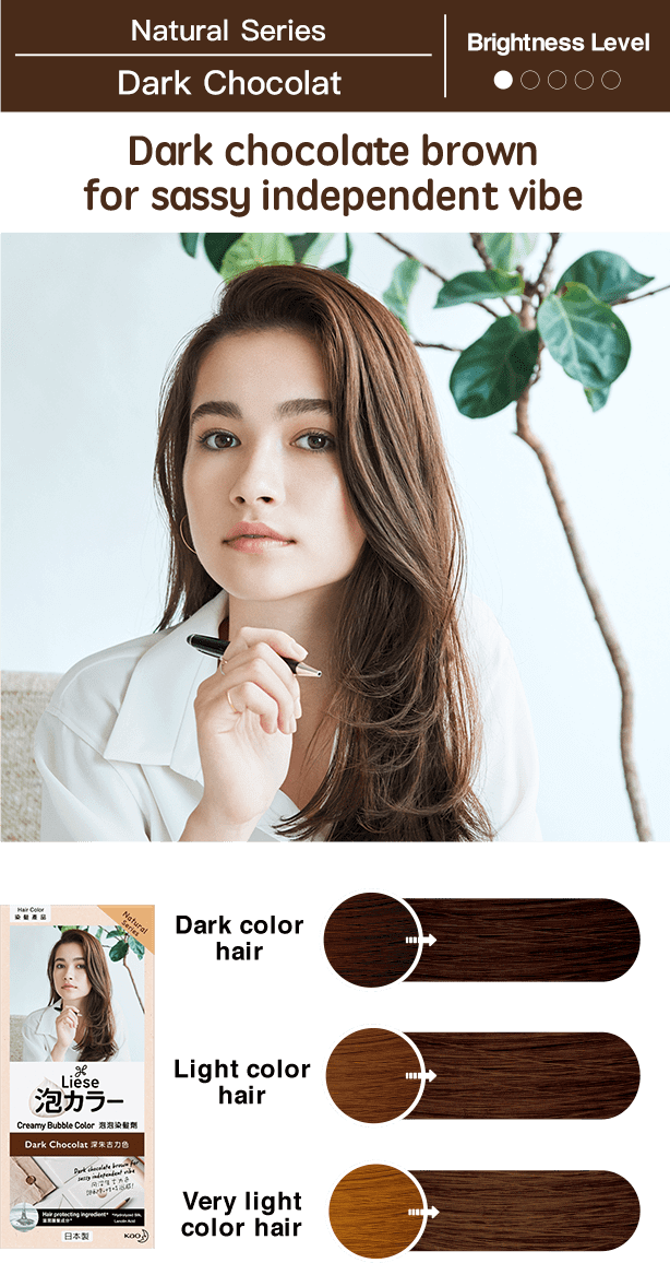 Liese Creamy Bubble Color Dark Chocolate