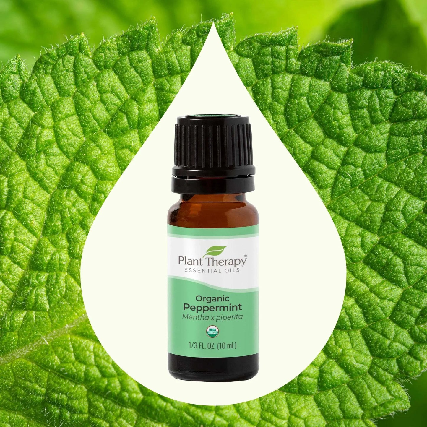 Organic Peppermint Essential Oil 10ml