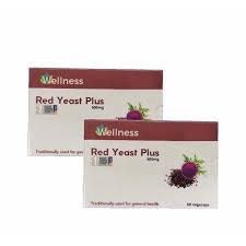 Wellness Red Yeast Plus (600mg) 2x60's