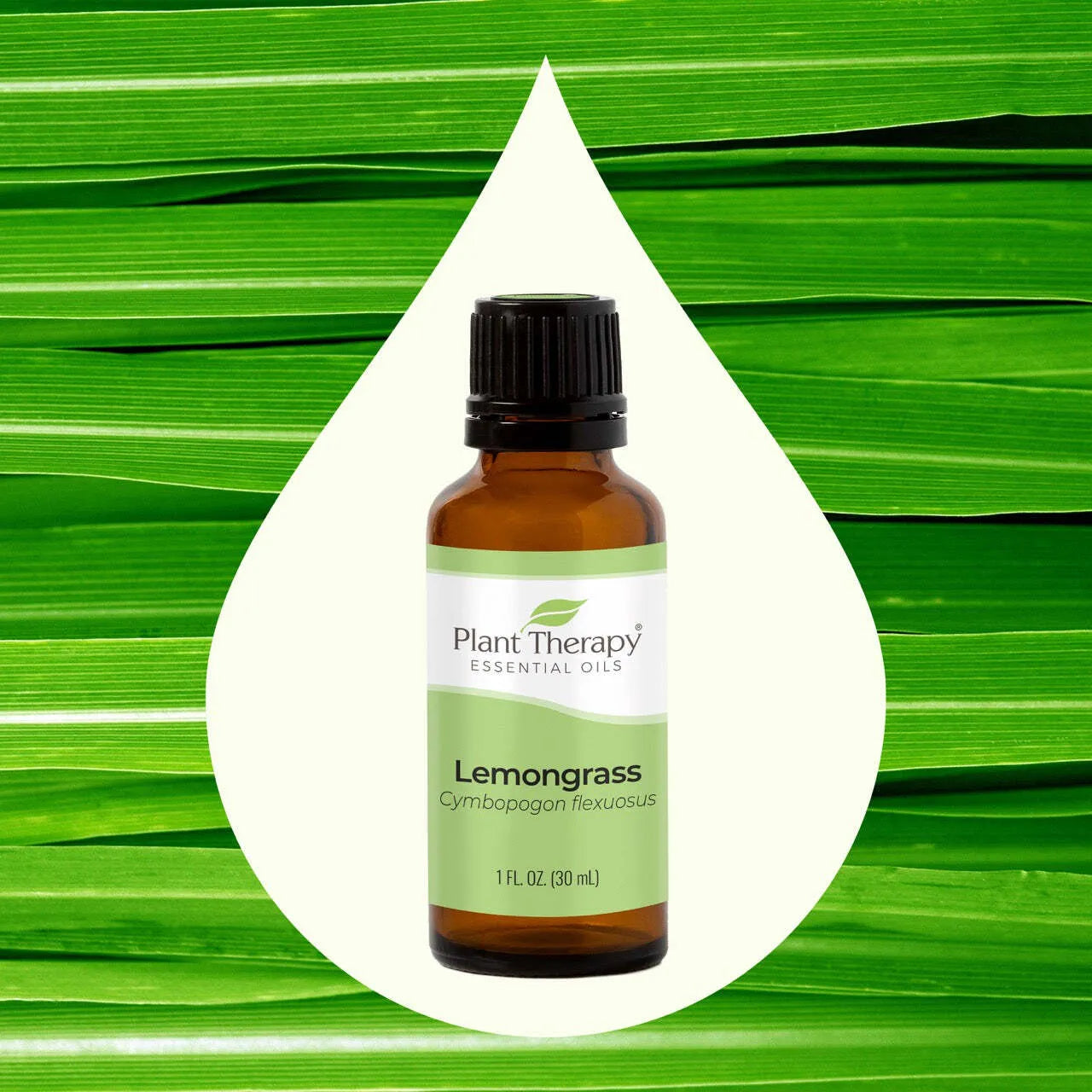 Lemongrass Essential Oil 10ml